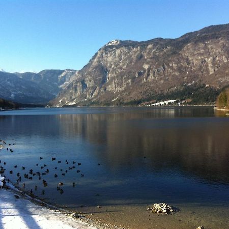 Bistrica 1 Apartment Bohinj Bagian luar foto