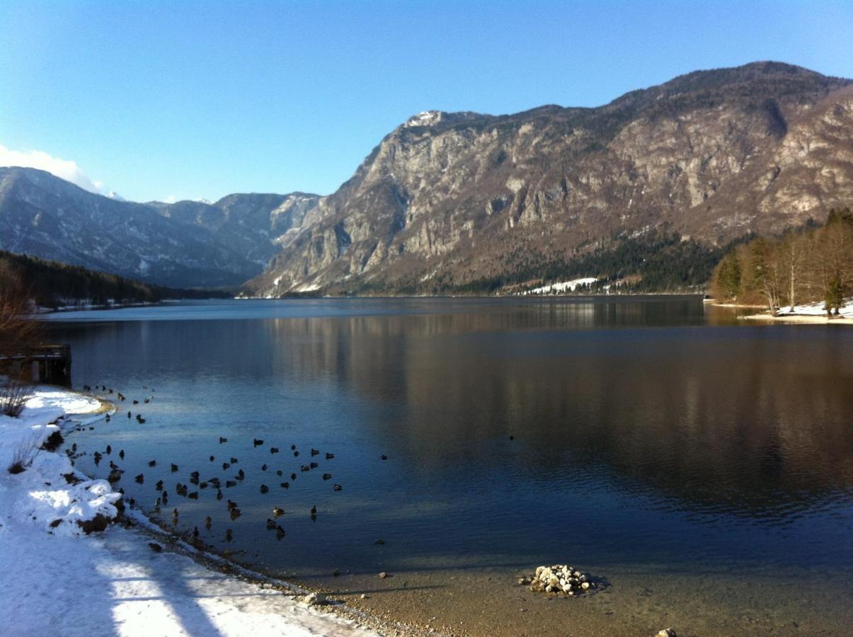 Bistrica 1 Apartment Bohinj Bagian luar foto